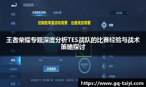 王者荣耀专题深度分析TES战队的比赛经验与战术策略探讨