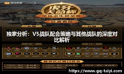 独家分析:V5战队配合策略与其他战队的深度对比解析