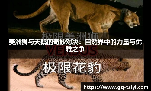 伟德bv国际